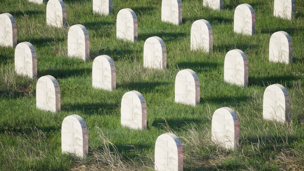 a field of headstones in the grass
