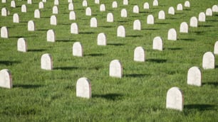 Reihen von Grabsteinen auf einem grasbewachsenen Feld