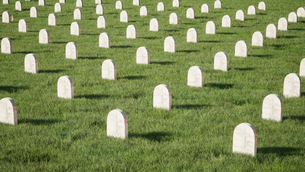 fileiras de lápides em um campo gramado