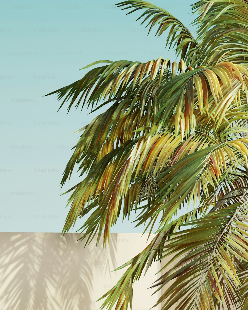 a close up of a palm tree with a blue sky in the background