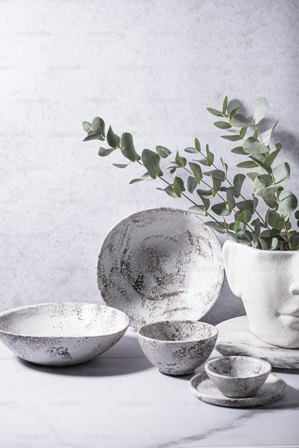 eine weiße Vase, gefüllt mit einer grünen Pflanze neben einem weißen Teller