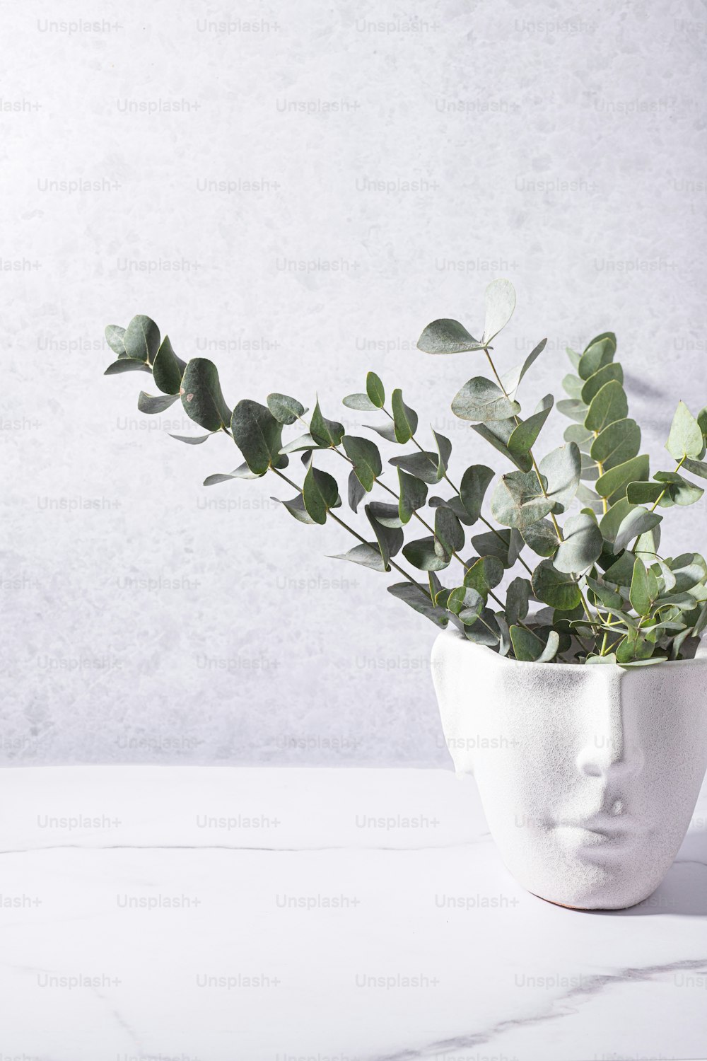 eine weiße Vase mit einer Pflanze darin