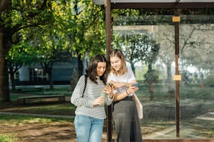 Zwei Frauen, die in einem Park auf ein Handy schauen