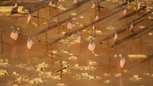 a group of flags that are standing in the dirt