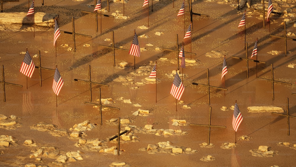 Un grupo de banderas que están de pie en la tierra