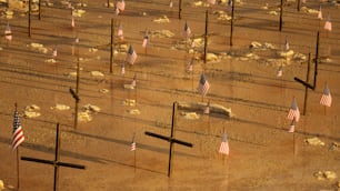 a bunch of flags that are in the dirt