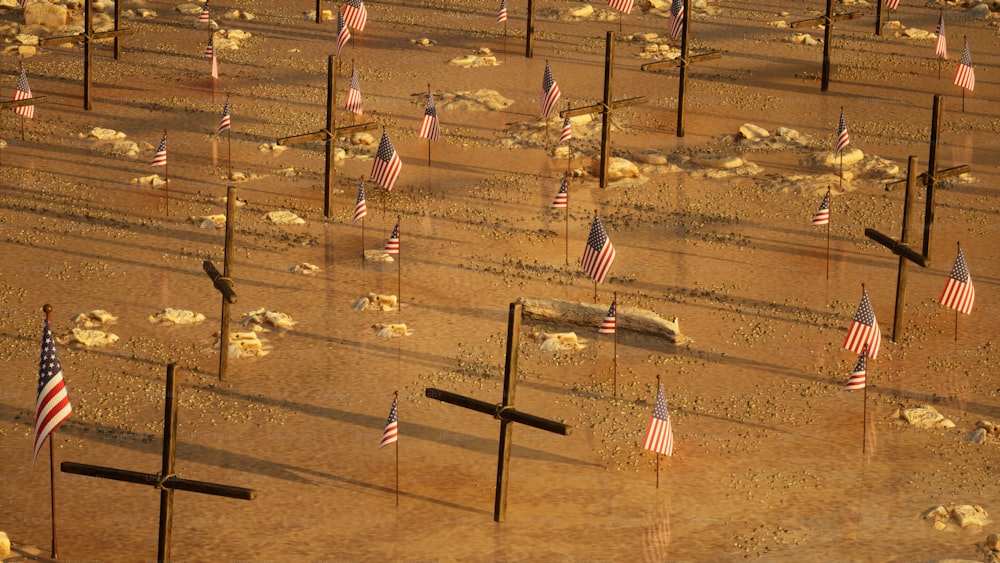 a bunch of flags that are in the dirt