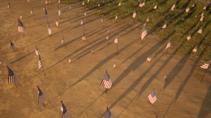um grupo de bandeiras americanas em um campo