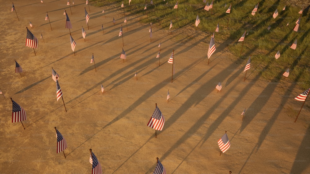 um grupo de bandeiras americanas em um campo