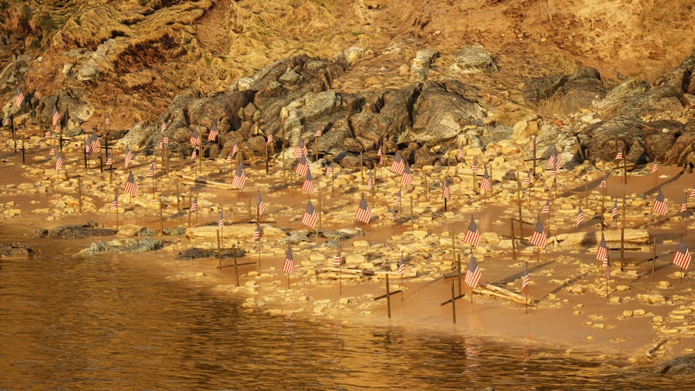 Un grupo de banderas que sobresalen de la arena junto a un cuerpo de agua