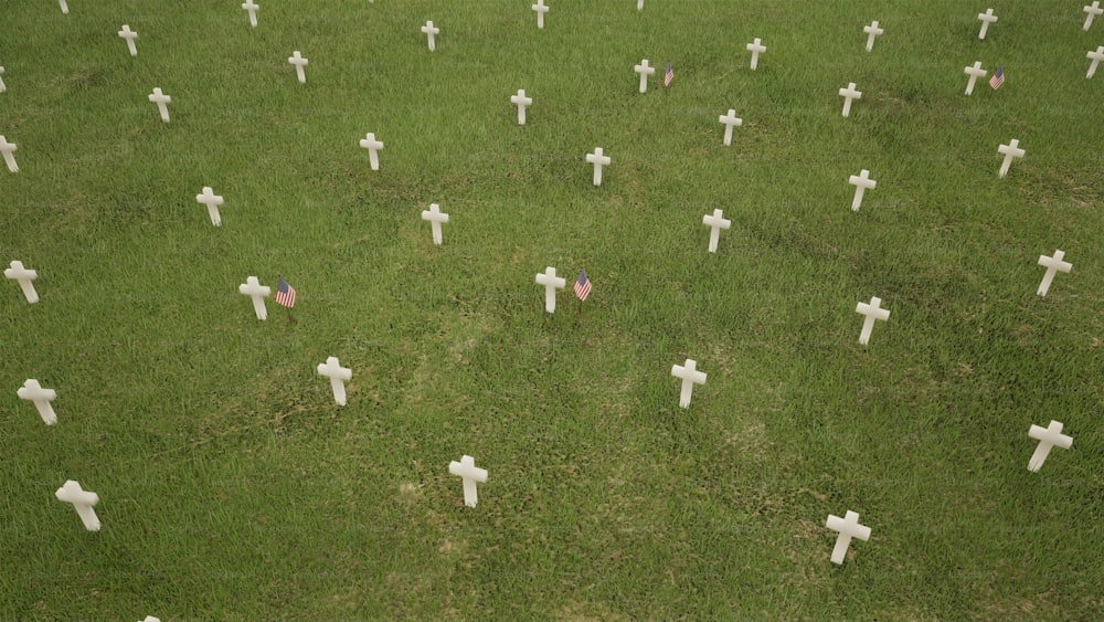um grupo de cruzes em um campo de grama