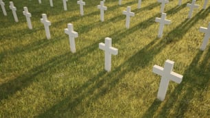 a field full of white crosses sitting in the grass