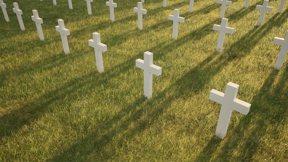 Un campo lleno de cruces blancas sentadas en la hierba