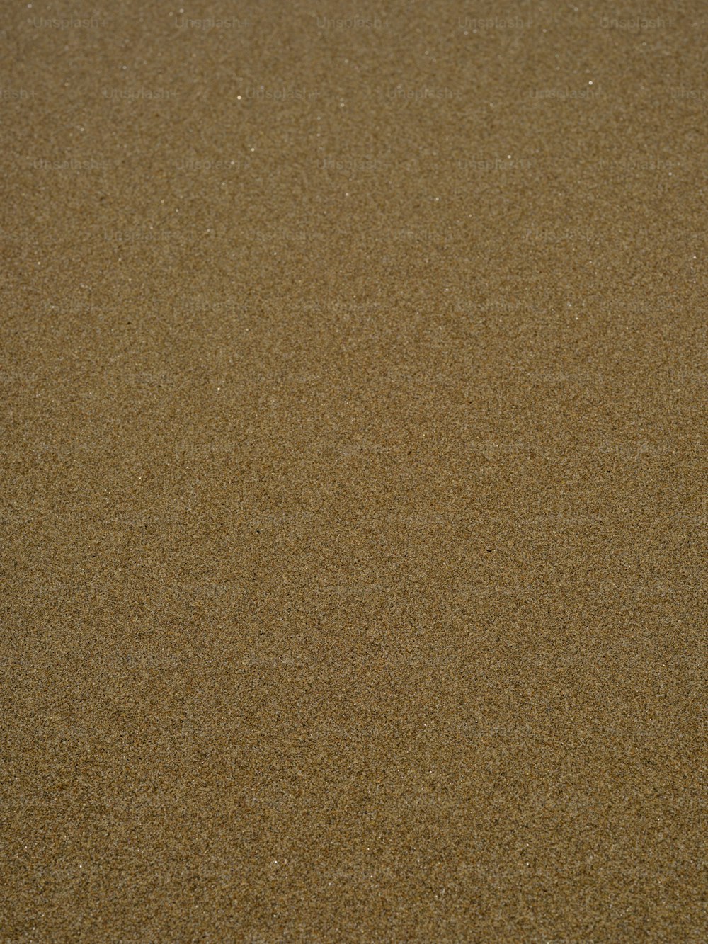 a bird is standing in the sand on the beach