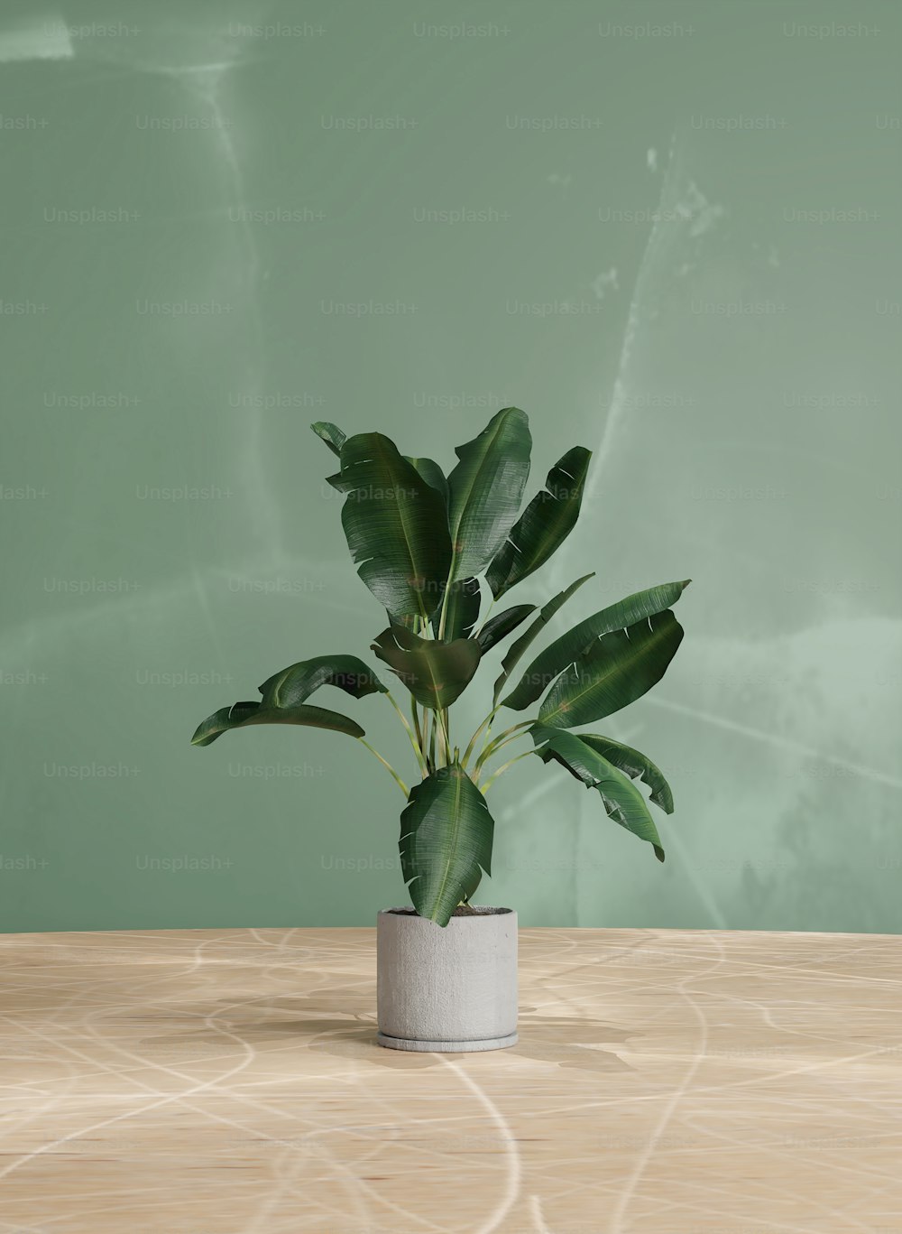 a potted plant sitting on top of a wooden table