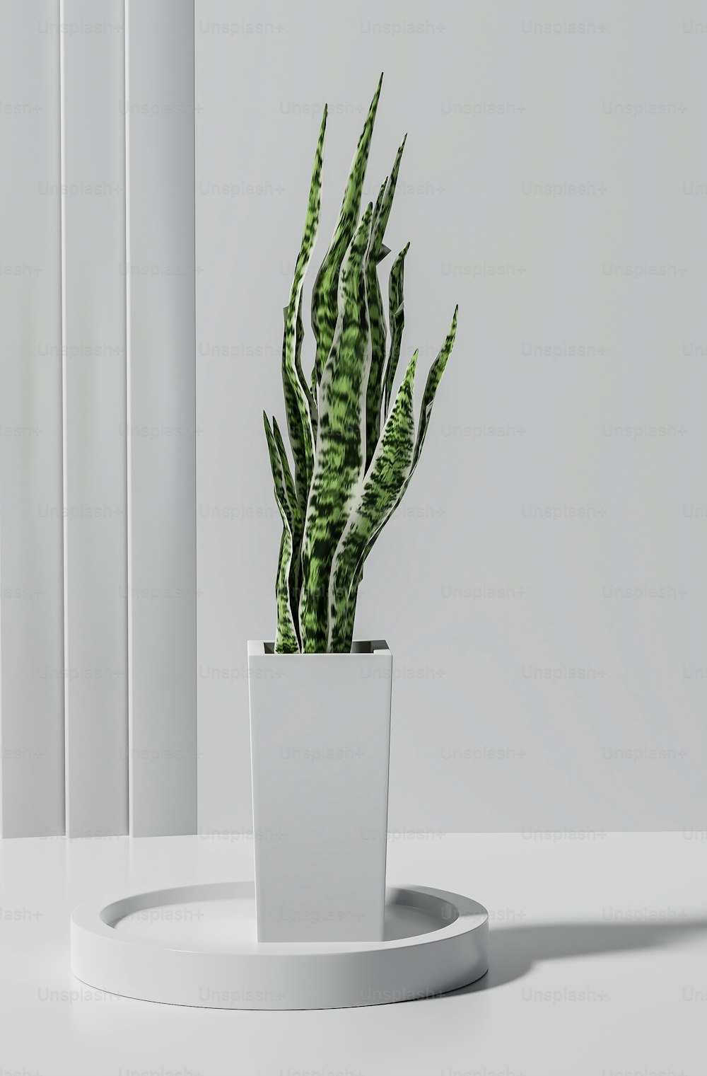 una pianta in vaso seduta sopra un tavolo bianco