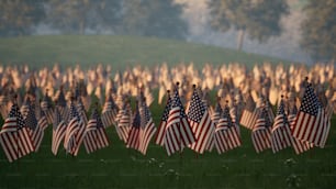 um campo cheio de bandeiras americanas com árvores ao fundo
