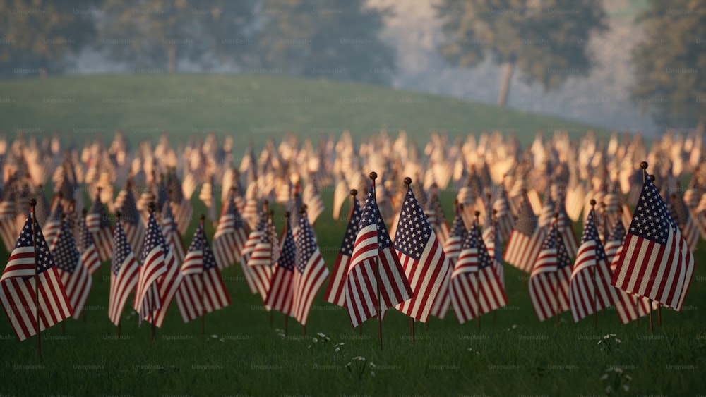 a field full of american flags with trees in the background