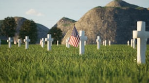 um campo gramado com cruzes e uma bandeira americana