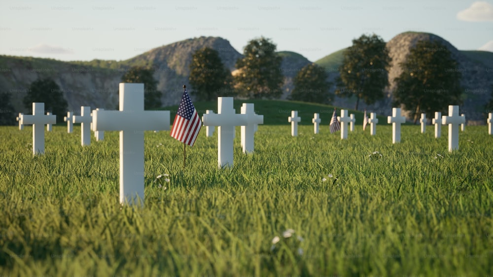 ein grasbewachsenes Feld mit Kreuzen und einer amerikanischen Flagge