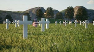 Un campo de hierba con cruces y una bandera estadounidense