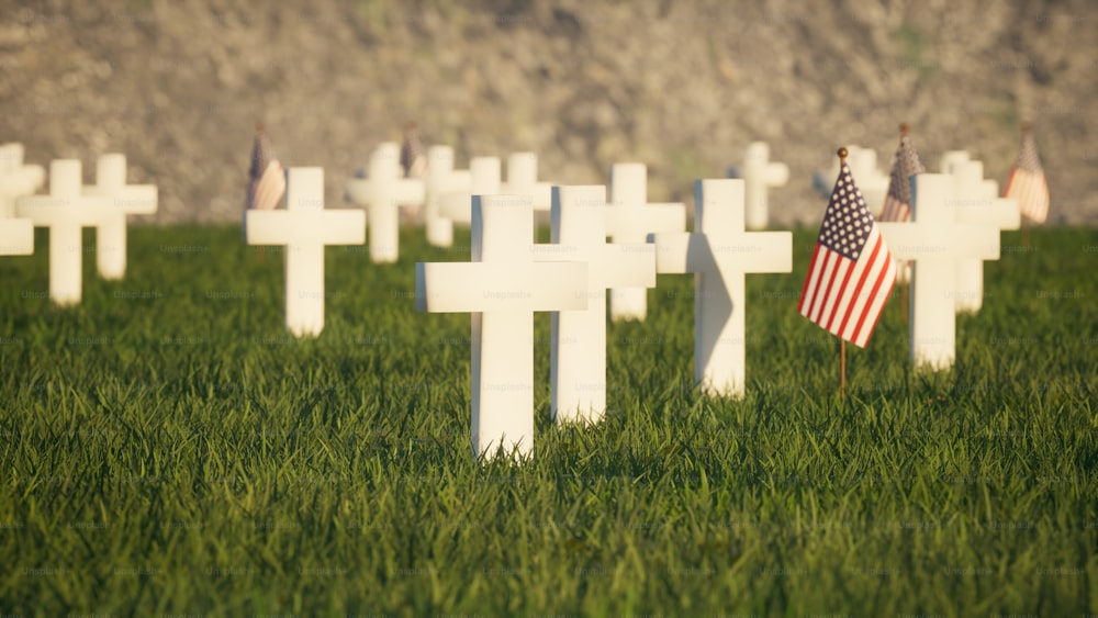 ein Feld von Kreuzen mit amerikanischen Flaggen darauf