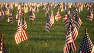 a field full of american flags on a sunny day