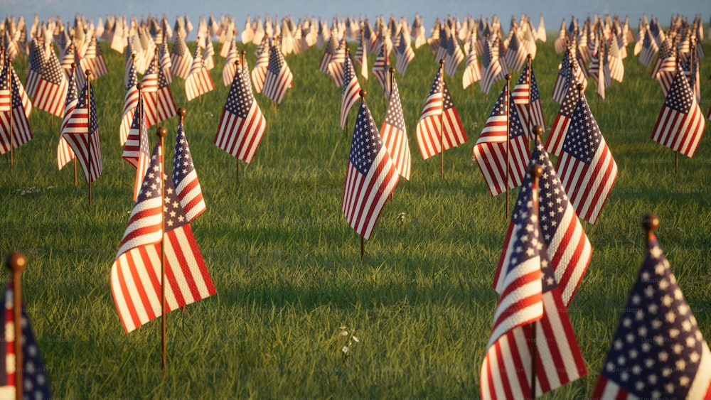 晴れた日にアメリカの国旗でいっぱいの野原