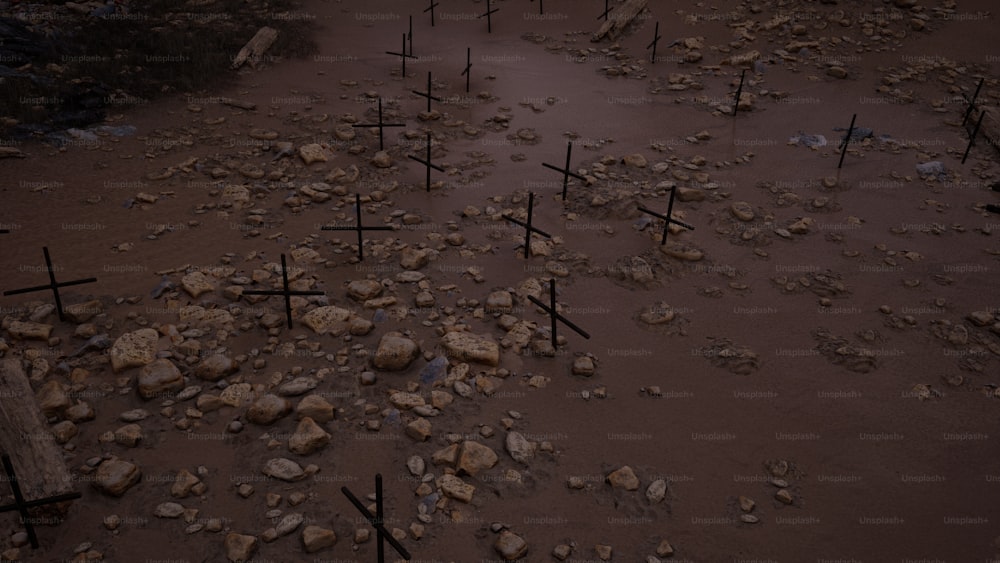Un montón de cruces que están en la arena