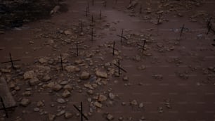 a bunch of crosses that are in the sand