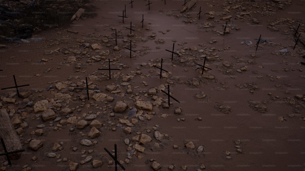 a bunch of crosses that are in the sand