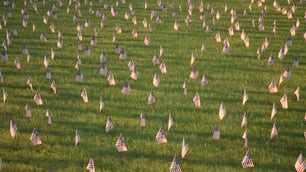 um campo cheio de bandeiras americanas na grama