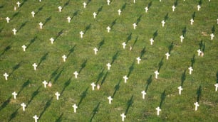 a group of white crosses in a grassy field