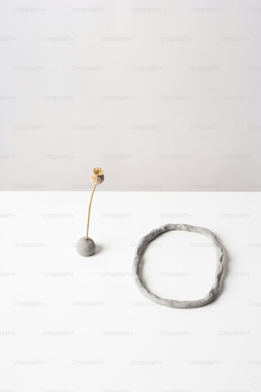 a single flower sitting on top of a white table