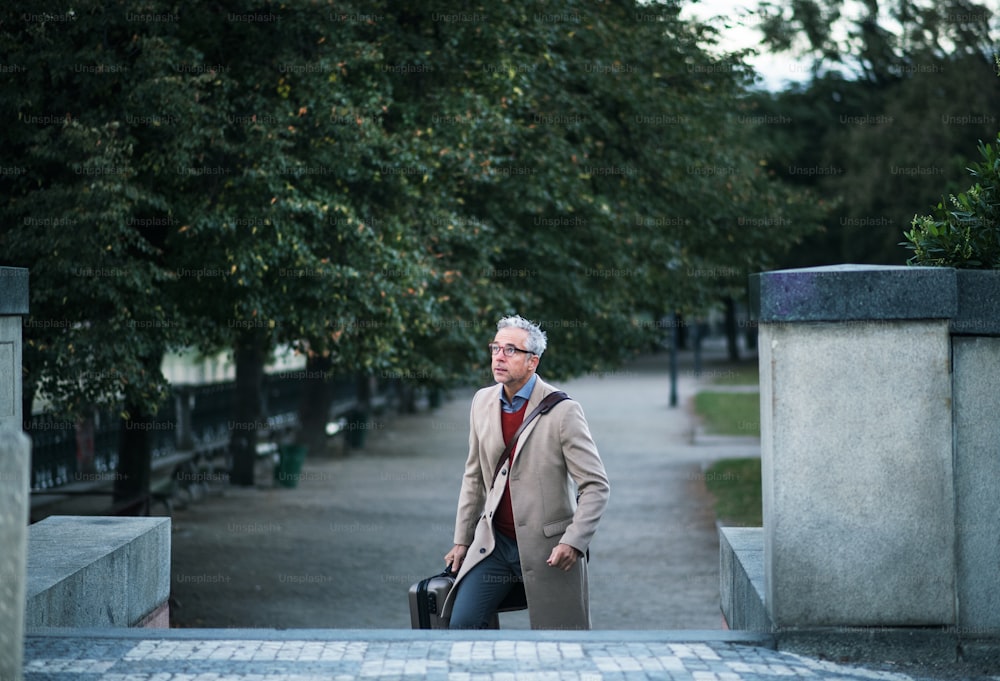 Bel homme d’affaires mature avec valise montant les escaliers dans un parc d’une ville.