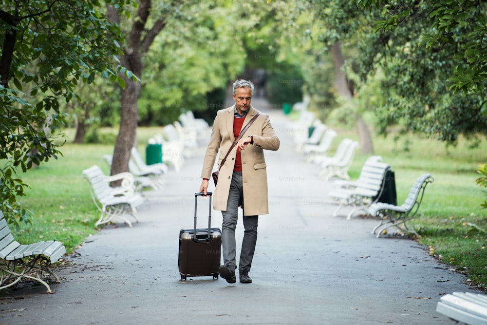 Mature handsome businessman with suitcase walking in a park in a city, checking the time.