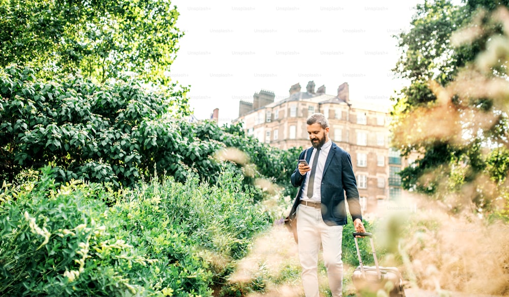 Hipster businessman with laptop bag, suitcase and smartphone walking in park in London, text messaging.