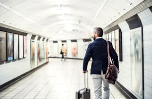 Rear view of businessman with a bag and suitcase walking in subway. Copy space.