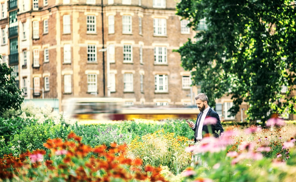 Hipster businessman with smartphone walking in park in London, text messaging.