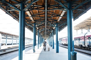 Handsome mature businessman in a city. Man walking on the railway platform on the train station. Rear view.