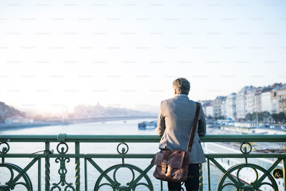 Homme d’affaires mature dans une ville, debout sur le pont. Vue arrière.