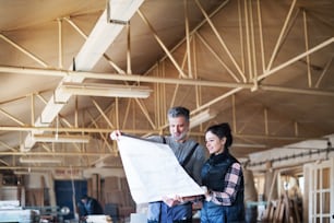 Retrato de un hombre y una mujer trabajadores en el taller de carpintería, mirando planos de papel.