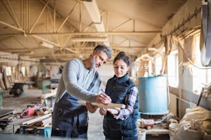 Retrato de un hombre y una mujer trabajadores en el taller de carpintería, trabajando juntos.