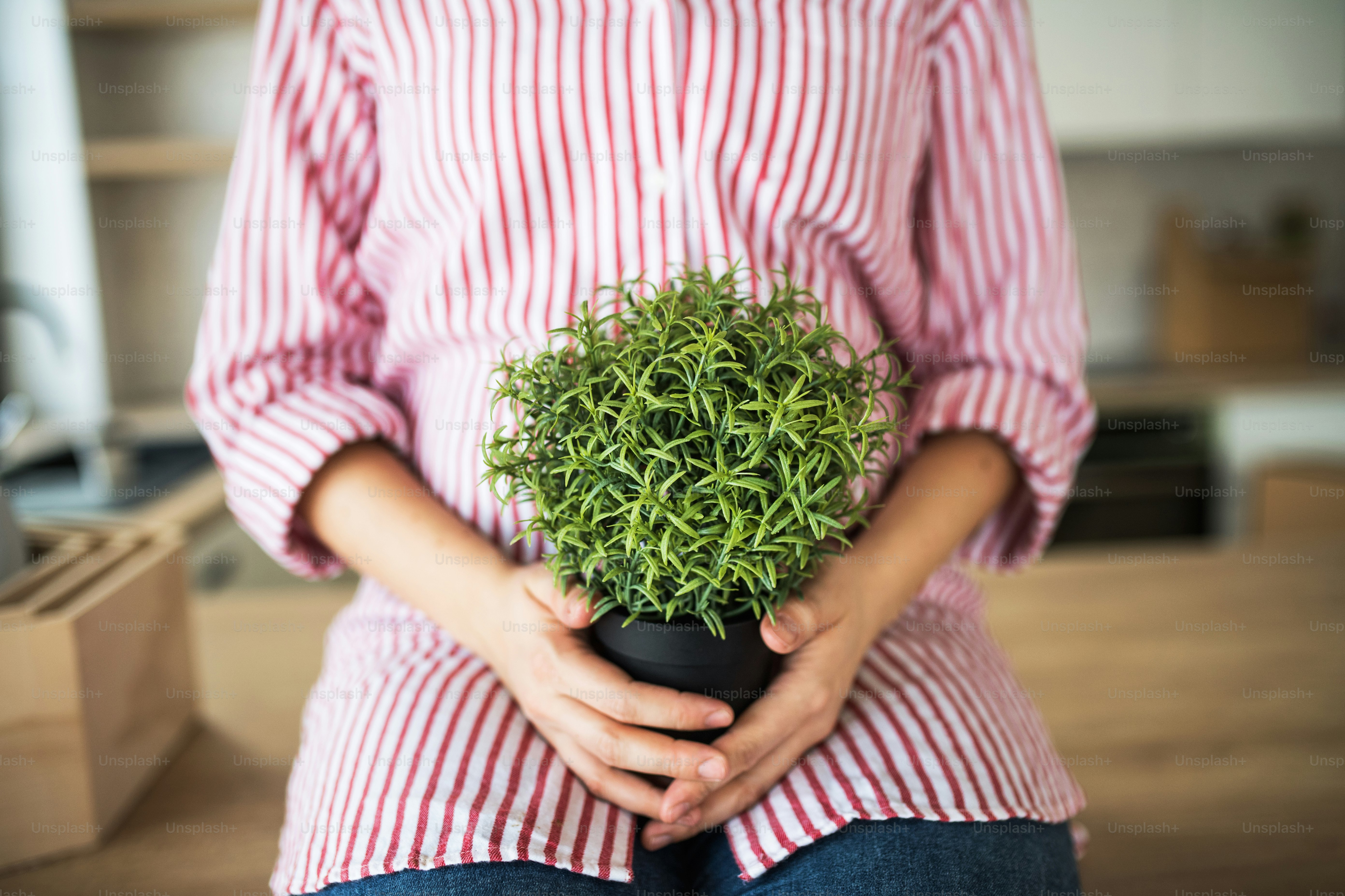 Un échantillon central de jeunes femmes avec des plantes déménageant dans une nouvelle maison, assise sur le comptoir de la cuisine.
