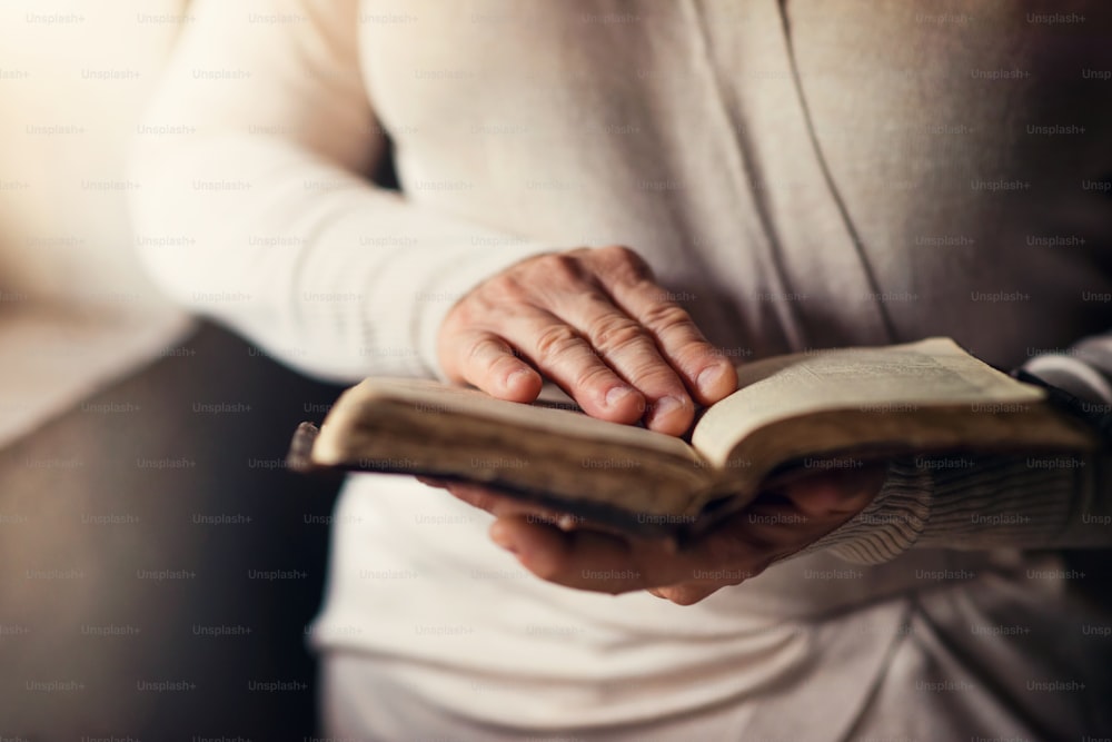 Mujer irreconocible sosteniendo una Biblia en sus manos y orando