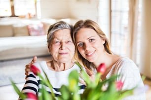Portrait of an elderly grandmother with an adult granddaughter at home.