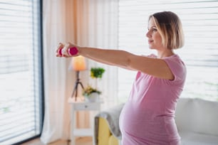 Portrait of pregnant woman indoors at home, doing exercise with dumbbells.