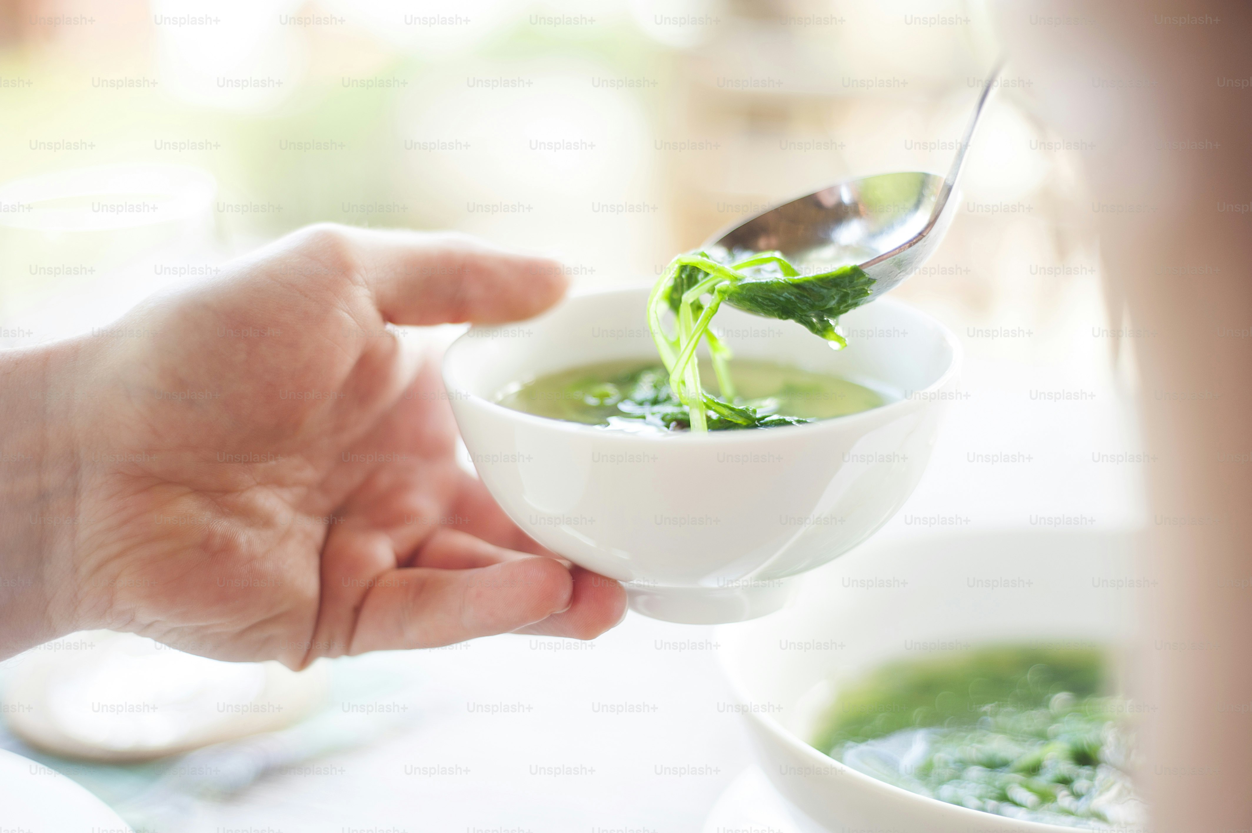 Deliciosa comida asiática vietnamita - sopa de espinafre