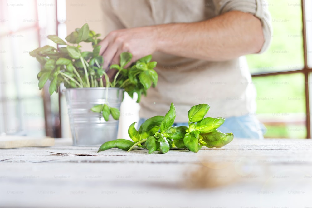 Un homme coupe des feuilles de basilic sur une table de cuisine en bois blanc