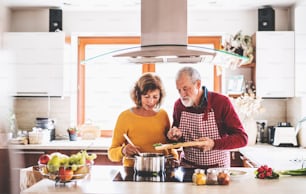 Couple de personnes âgées préparant la nourriture dans la cuisine. Un vieil homme et une vieille femme à l’intérieur de la maison.